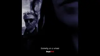 BUTTERFLY ON A WHEEL - Amplifire (2026)