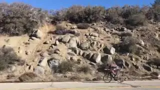 Quest for Kona -- Ross Hennessy