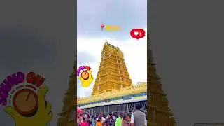 ✨ Exploring Mysuru City | Mysore Palace | Beautiful Mysuru Tourist Places 2025 🇮🇳 #travel #shorts