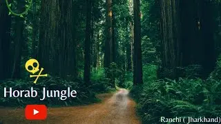 HORAB JUNGLE || RANCHI JHARKHAND || BEAUTIFUL JUNGLE