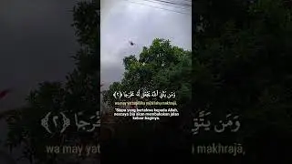 Surah 1000 Dinar | Janji Rezeki & Jalan Keluar dari Allah