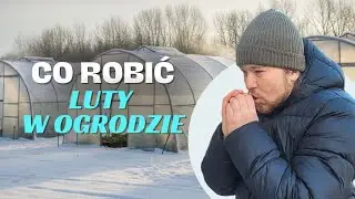 Co robić w lutym w ogrodzie?