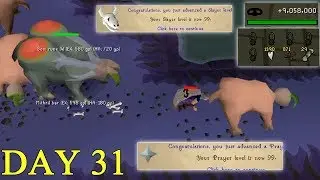 [OSRS] Twisted League Day 31 - SO MANY 99s IN 1 VIDEO! (MAX COMBAT)