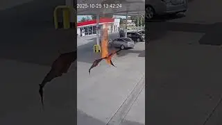 Shock & Mystery (High CTR): Shocking Gas Station Security Cam... WHAT IS THAT?! 😱