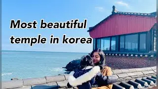 Must vist place in Busan | Haedong Yonggungsa Temple Busan, SouthKorea #korea #travel  #beautiful