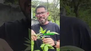 PIC&Atilde;O PRETO