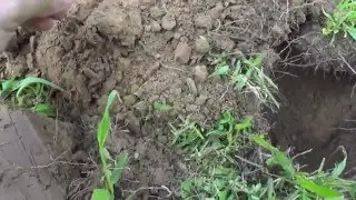Kentucky Dirt Fishing #29 Scorching Heat
