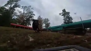Arrma Big Block RC car at the Dog park 