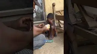 Dia memberi makan anak anak yang Kelaparan 🥺
