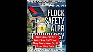 Flock Cameras Are Everywhere &mdash; And They&rsquo;re Watching Your Car #shorts #camera #cars #fyp
