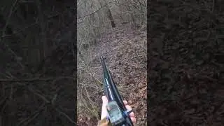 Odstrel vepra Browning mk3 Wild boar hunting