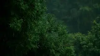 Calm Afternoon Rain for Relaxation