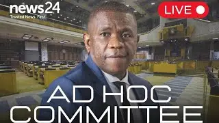 WATCH LIVE | Ad Hoc Committee continues public hearings with four witnesses, two anonymous
