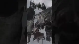 p2 - RoaaWrRrr !! #JurassicAdventure #FunWithDinosaurs #Educational #PrehistoricAnimals #DinoWorld