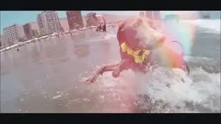 [Action Water][Vive Los Momentos]
