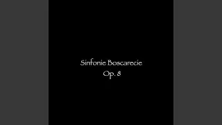 Sinfonie Boscarecie, Op. 8: XXXI. A Pegasea