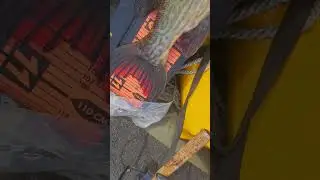 Pike  record 110cm   10kg