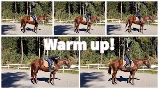 Equestrian warm up: Improve your suppleness! (exercises on the horse)