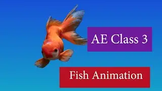 How to Animate Fish in After Effects I After Effects Tutorial Class 3