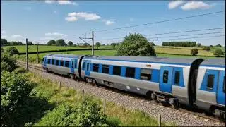 The train 