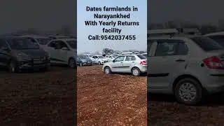 Date farm lands in Narayankhed