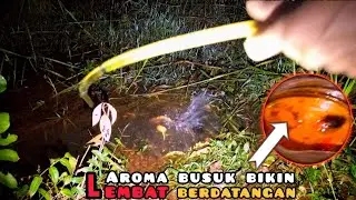 ketika ramuan ajaib di tuang pelampung hilang dan air keruh seketika MANCING LEMBAT MALAM HARI