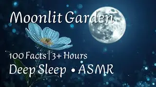 💤 Moonlit Garden ASMR: Night Blooming Flowers, Dewdrops, Moths & Nocturnal Nature | Sleep & Relax