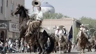 Bucking Horse Sale | Under the Big Sky