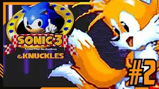 ClassicFox - Classic Tails Plays Sonic 3  & Knuckles - #2!