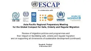 Review of migration policies and programmes (continued)
