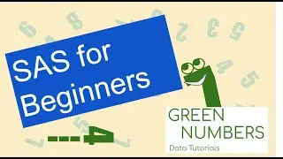 SAS Tutorial for Beginners