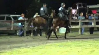Keg Shod Racking Rack N Roll Horse Show August 17, 2013