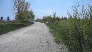 98 Colonel Samuel Smith Park Waterfront Trail 10
