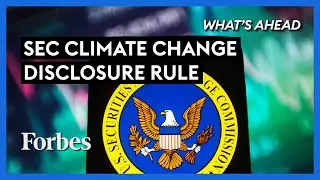 SEC Climate Change Disclosure Rule Will Hurt Stocks And Our Economy - Steve Forbes | Forbes