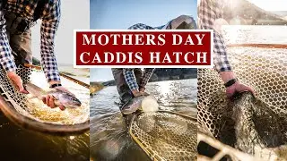 Mothers Day Caddis Hatch on the Madison River, Montana | Fishcamp Creative