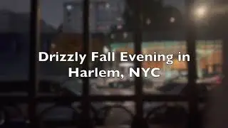 ☔️ Soothing Light Rain in Harlem 🌧 Relaxing NYC ASMR to Drift Off Fast