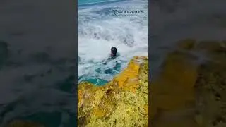 Talpe beach Natural pool Matara, Srilanka 🇱🇰❤️🦚🌊 🏊&zwj;♀️