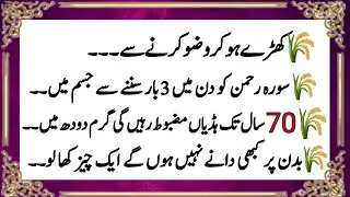 Best quotes of life||golden words in urdu||important saying||Islamic urdu quotes ||Ramadan tips