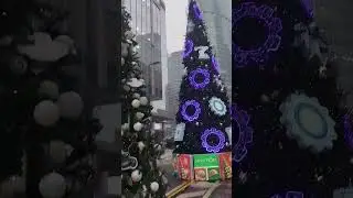 28 декабря 2025 г.