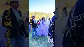 Felicidades Princesas #love #curiosidades #princessparty #shorts