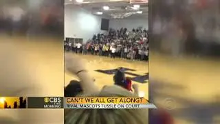 Basket-brawl: Mascot fight breaks out during game