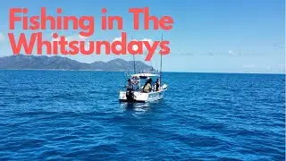 Fishing in the Whitsundays with Reel Addiction Sports fishing charters