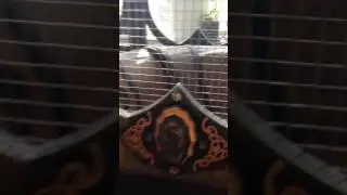 Pigeon habitat mansion