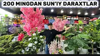 BIRINCHI 20 TA OBUNACHIMGA 50 MING ARZON QILIB BERILADI