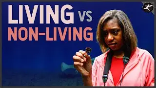 Living VS Non-Living Things - A Middle Grade Science Video w/ Untamed Science