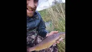 2 big brown in one day on the river eden in fife. 2022