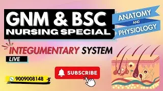 Human Skin | Integumentary system Anatomy in Hindi | Structure | Layers | Functions | Part-1