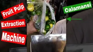 Fruit Pulp Extraction Machine