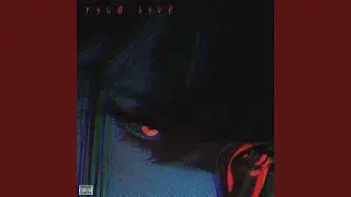 Your Love