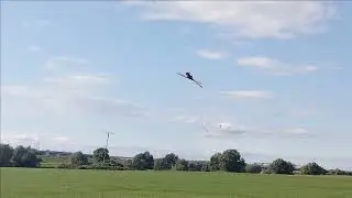 Goblin 420 c 18 RC Airshow Racibórz